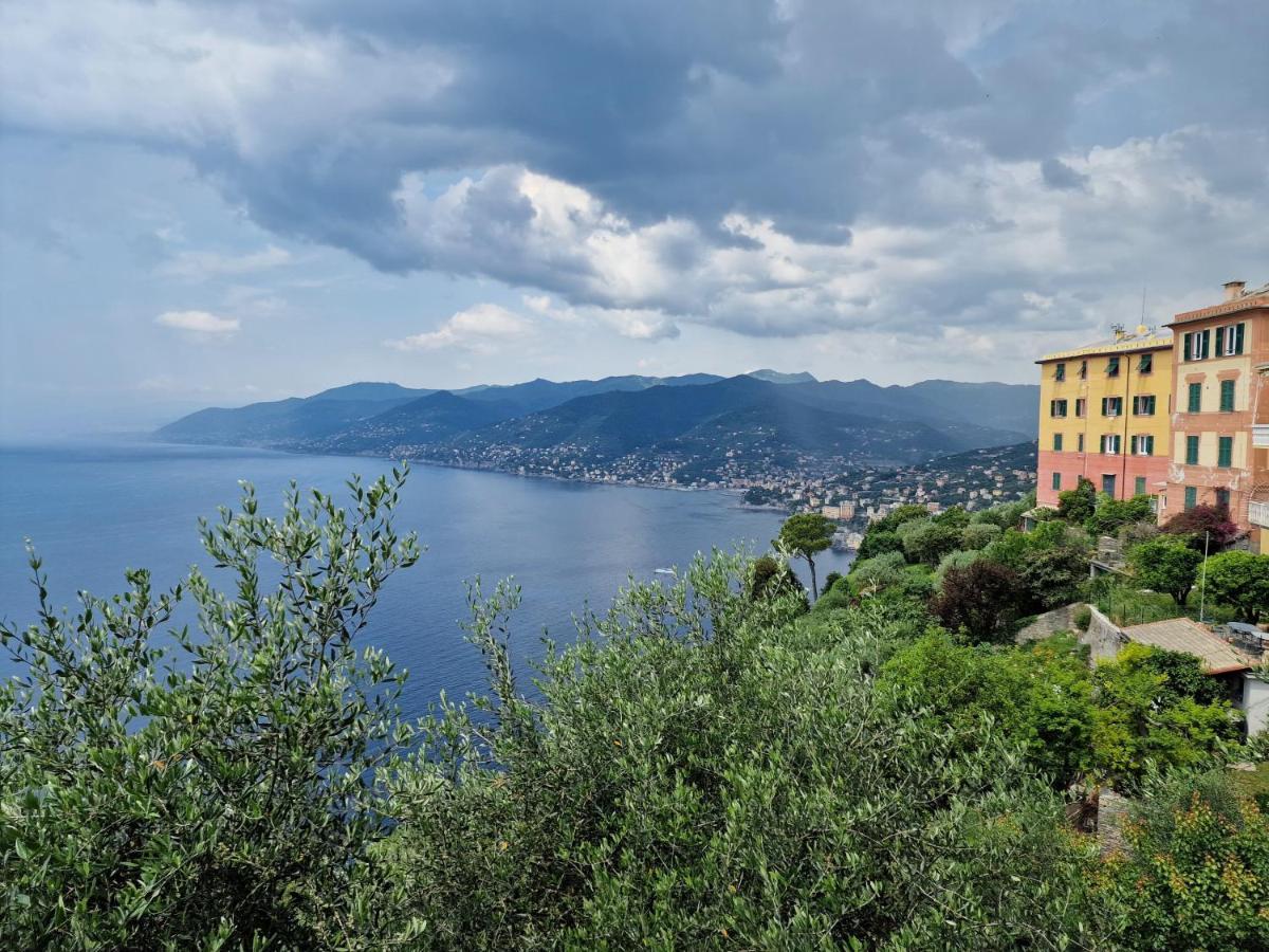 Casa Tisolo Lejlighed San Rocco  Eksteriør billede